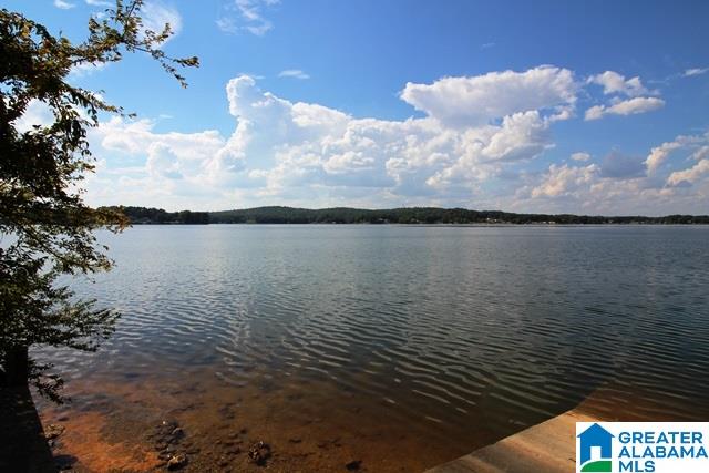 90 Cedar Cove Way Alpine, AL 35014 - Photo 2 of 45