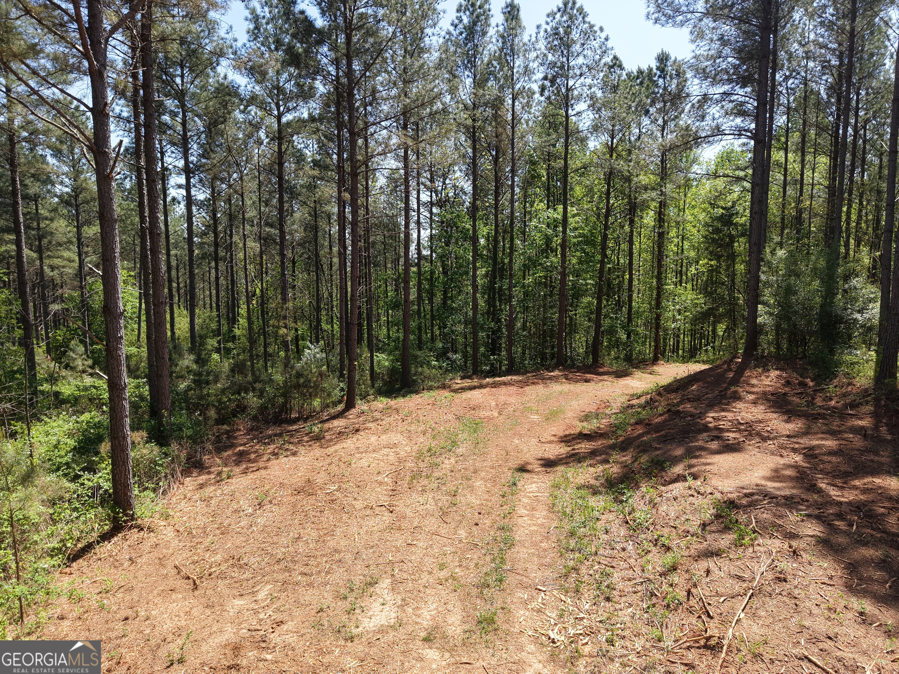 0 Ryo Mountain Road, Unit 9609 Fairmount, GA 30139 - Photo 70 of 87 Gallery Image 70