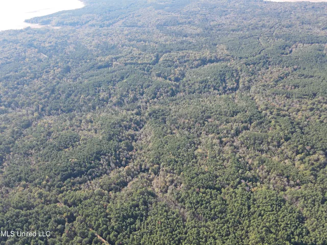 $456,000 | 0 Carver Point Road, Coffeeville, MS 38922