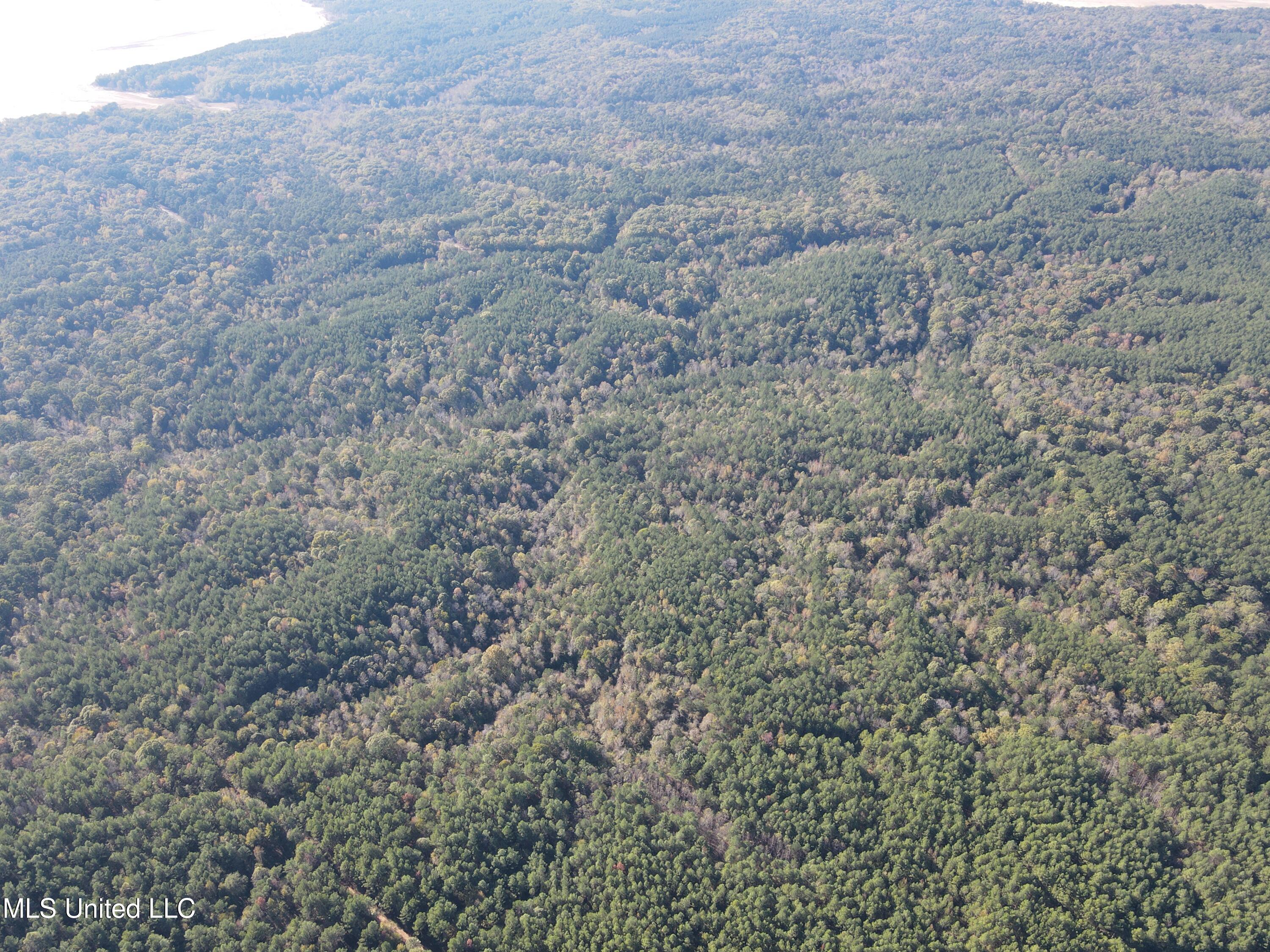 0 Carver Point Road Coffeeville, MS 38922 - Photo 13 of 44 dji_fly_20241116_140434_854_173178766448