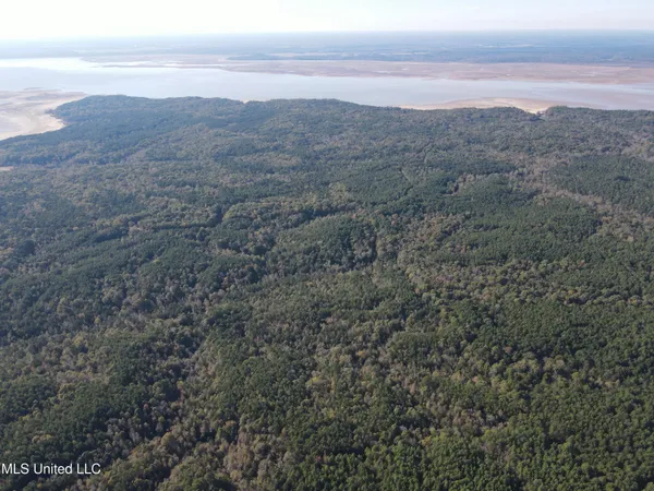 $399,000 | 0 Carver Point Road, Coffeeville, MS 38922