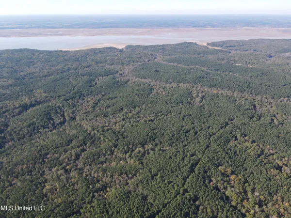 $399,000 | 0 Carver Point Road, Coffeeville, MS 38922