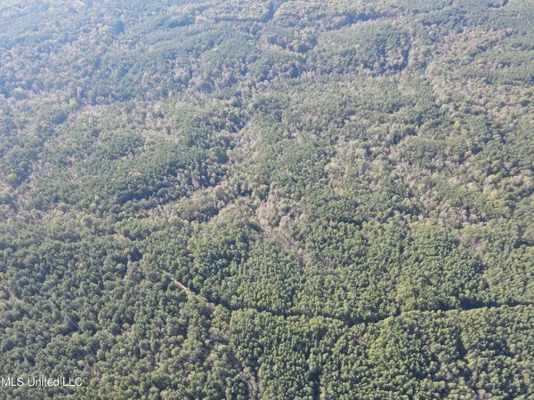 $399,000 | 0 Carver Point Road, Coffeeville, MS 38922