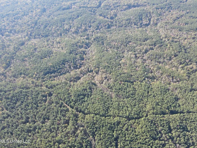 $456,000 | 0 Carver Point Road, Coffeeville, MS 38922