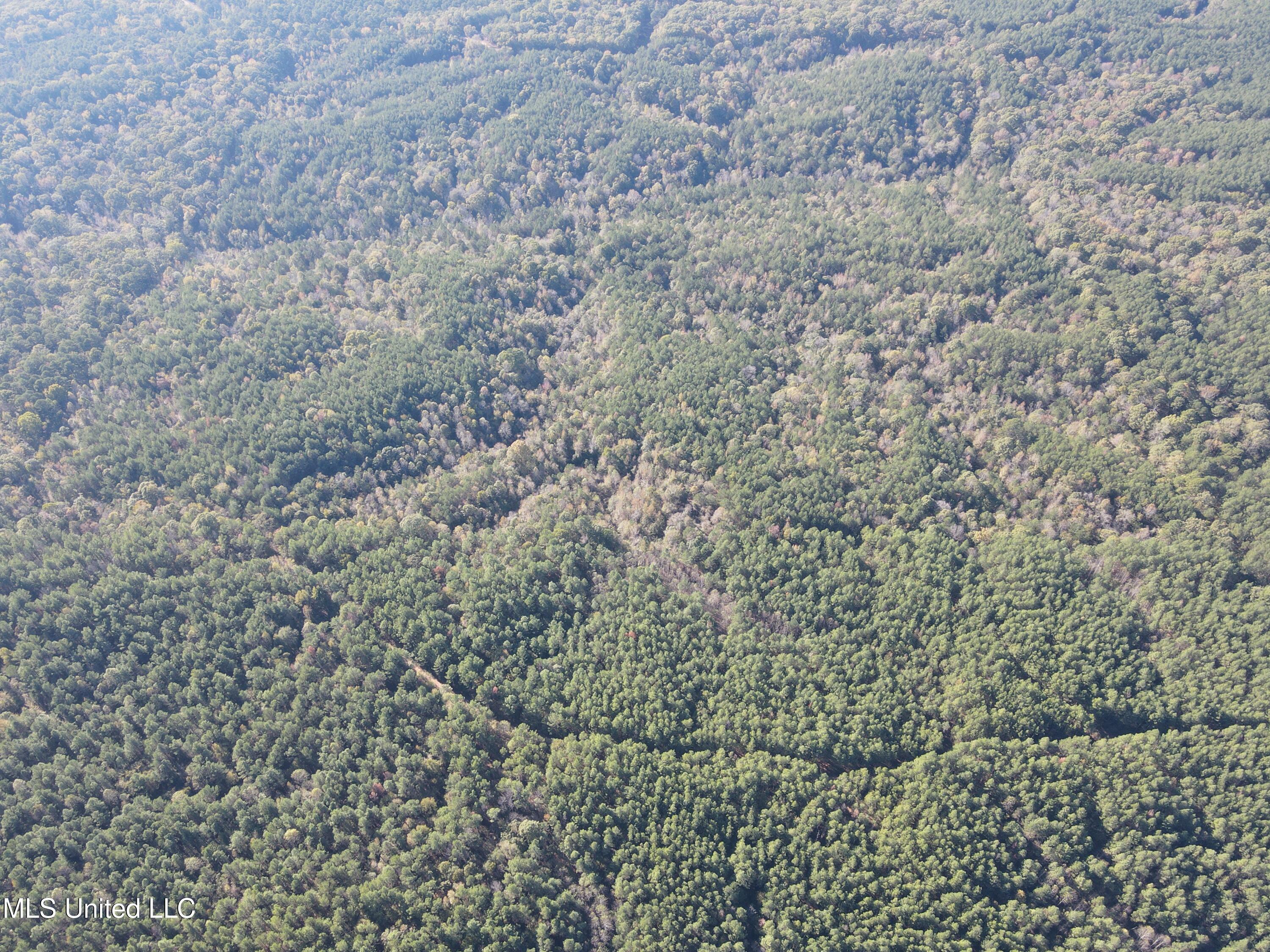 0 Carver Point Road Coffeeville, MS 38922 - Photo 16 of 44 dji_fly_20241116_140456_858_173178762827