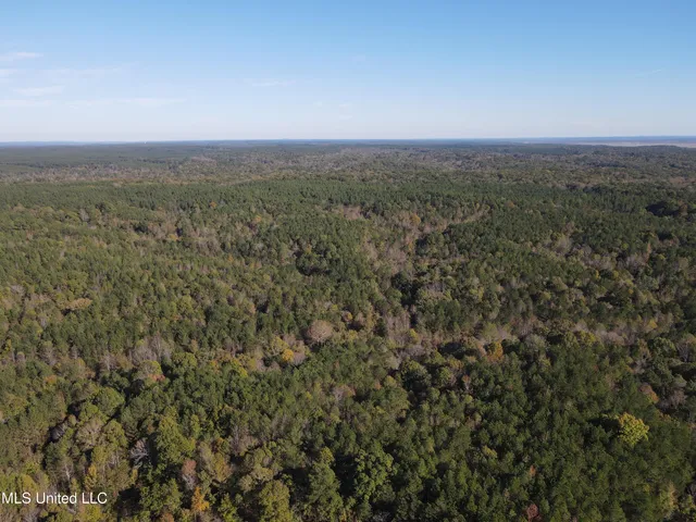 $456,000 | 0 Carver Point Road, Coffeeville, MS 38922