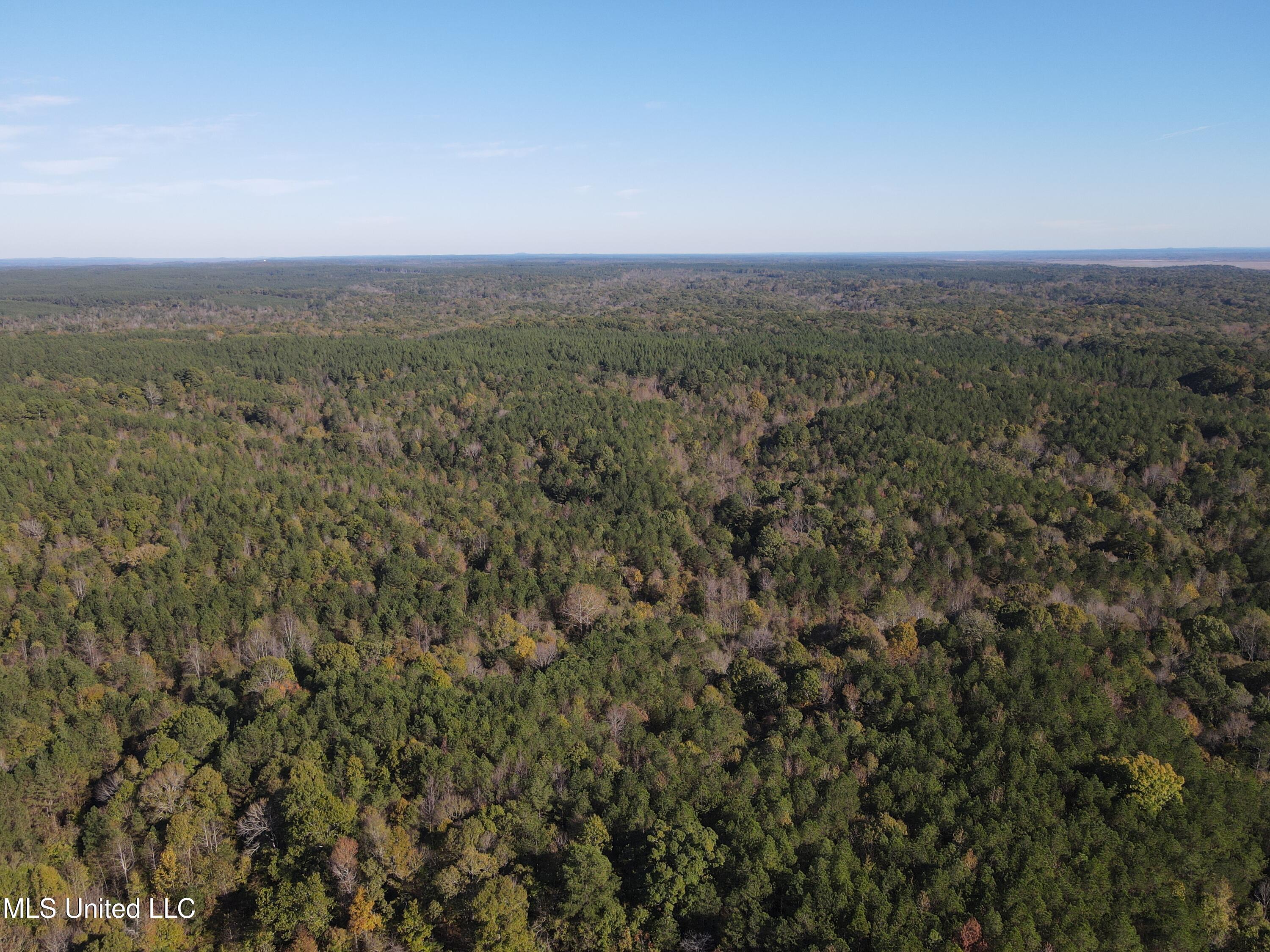 0 Carver Point Road Coffeeville, MS 38922 - Photo 17 of 44 dji_fly_20241116_134706_838_173178757283