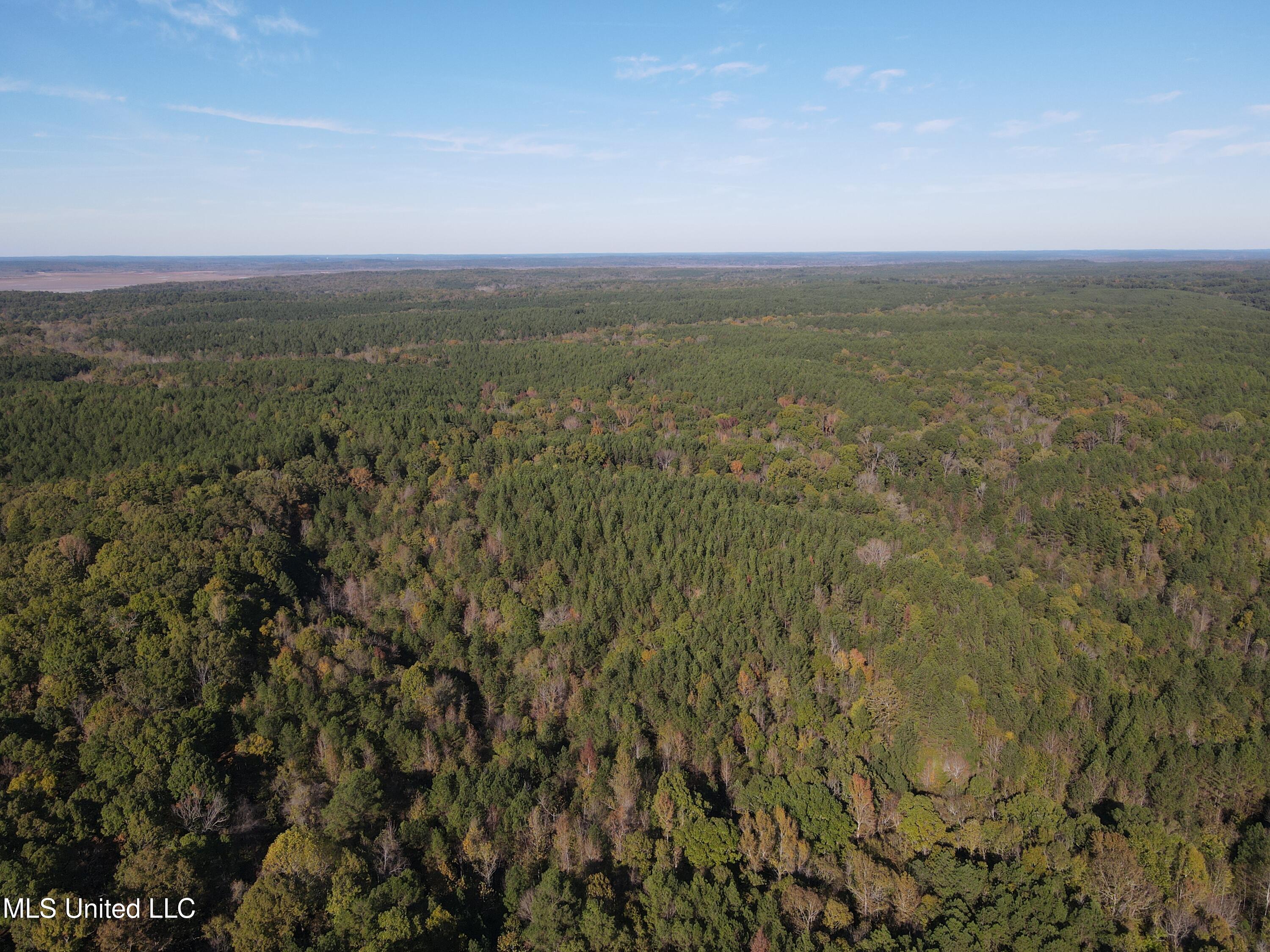 0 Carver Point Road Coffeeville, MS 38922 - Photo 18 of 44 dji_fly_20241116_134710_840_173178754245