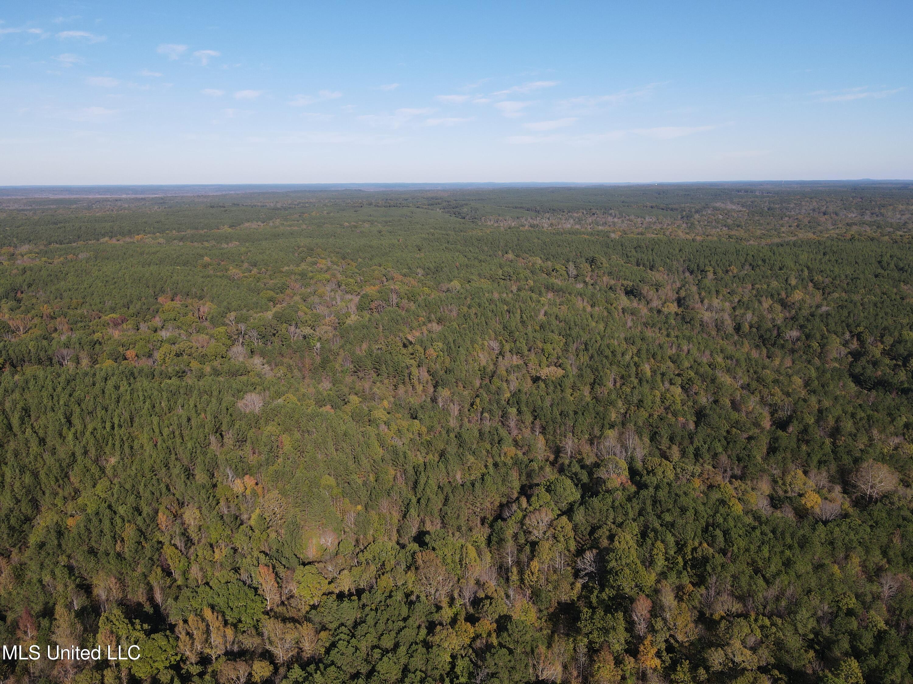 0 Carver Point Road Coffeeville, MS 38922 - Photo 19 of 44 dji_fly_20241116_134708_839_173178755154