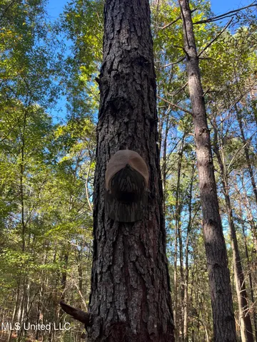 $456,000 | 0 Carver Point Road, Coffeeville, MS 38922