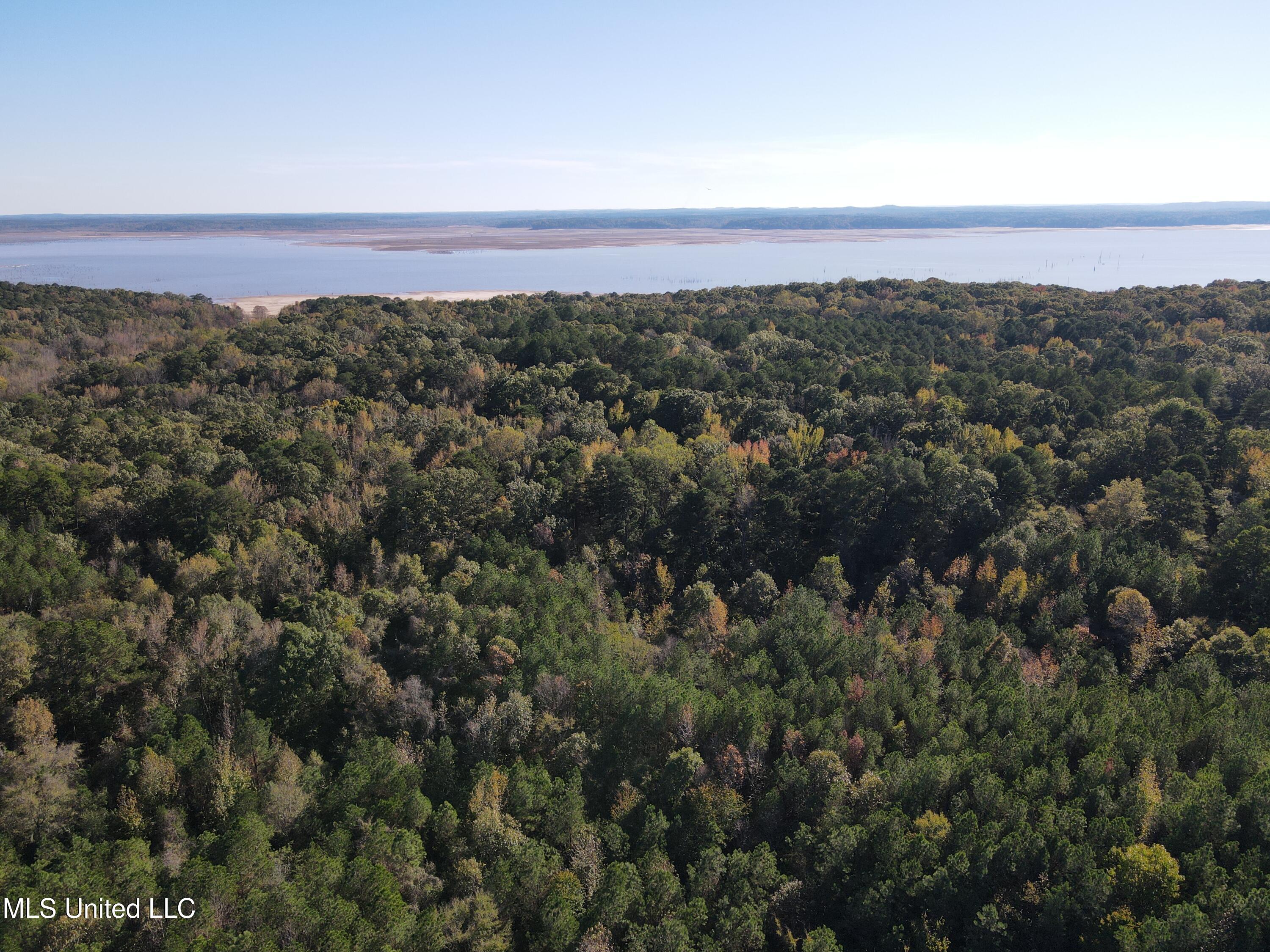 0 Carver Point Road Coffeeville, MS 38922 - Photo 2 of 44 dji_fly_20241116_141152_879_173178800219