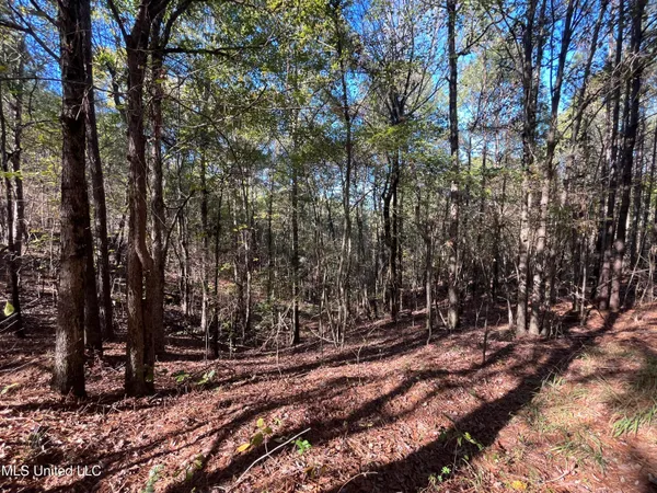 $399,000 | 0 Carver Point Road, Coffeeville, MS 38922