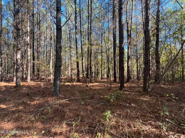 $456,000 | 0 Carver Point Road, Coffeeville, MS 38922