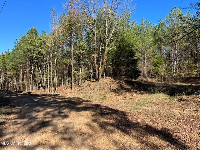 $456,000 | 0 Carver Point Road, Coffeeville, MS 38922