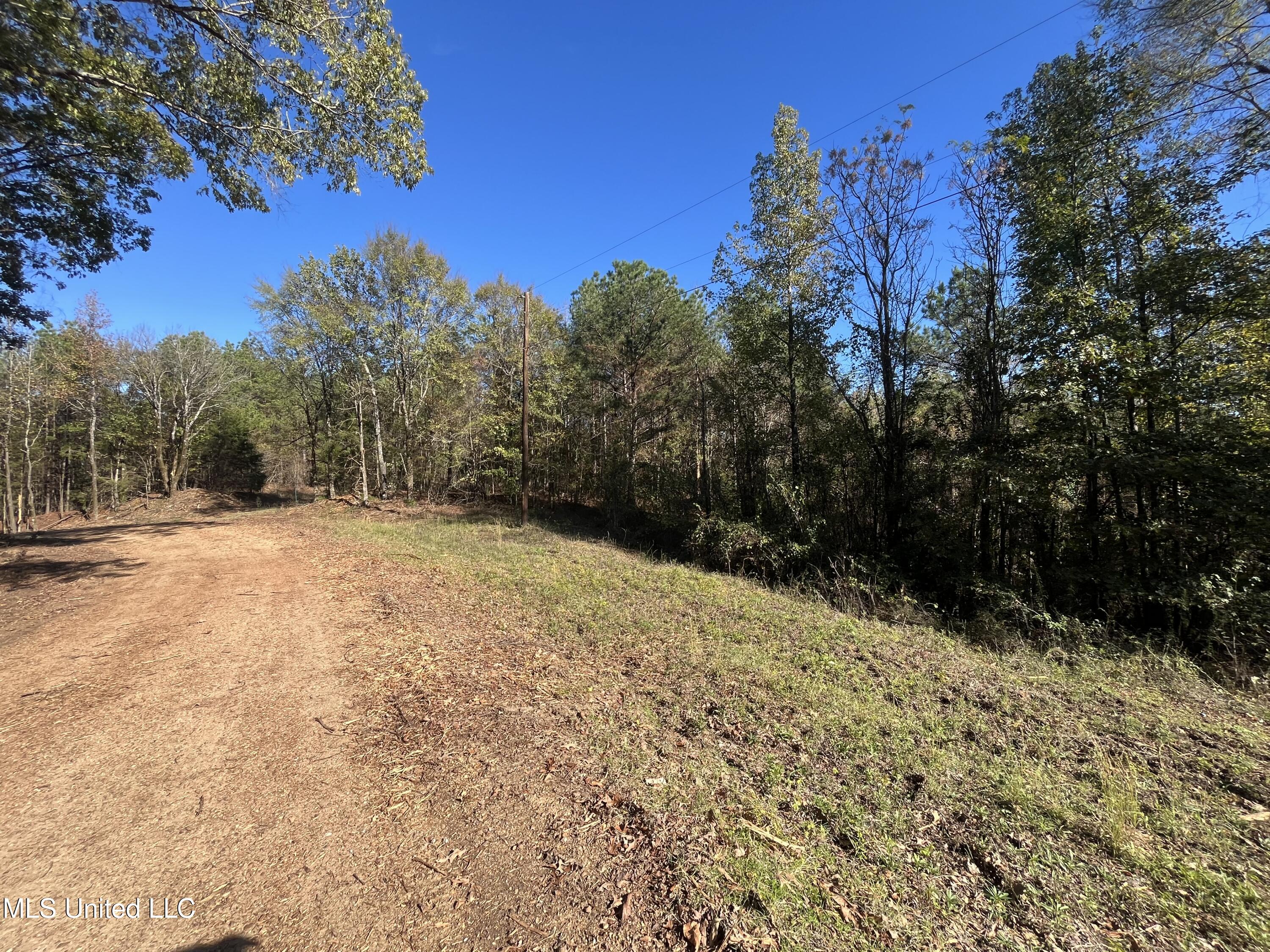 0 Carver Point Road Coffeeville, MS 38922 - Photo 24 of 44 IMG_9521