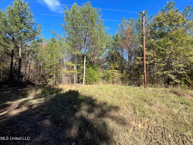 $456,000 | 0 Carver Point Road, Coffeeville, MS 38922