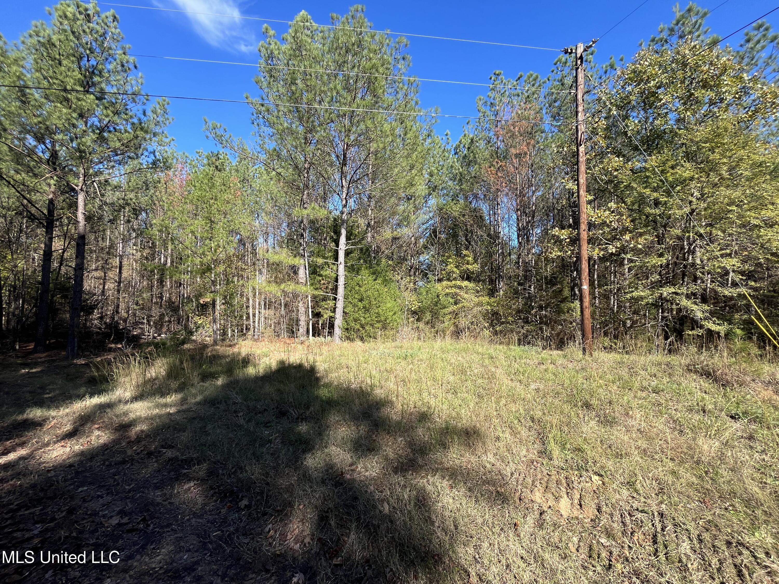 0 Carver Point Road Coffeeville, MS 38922 - Photo 25 of 44 IMG_9498
