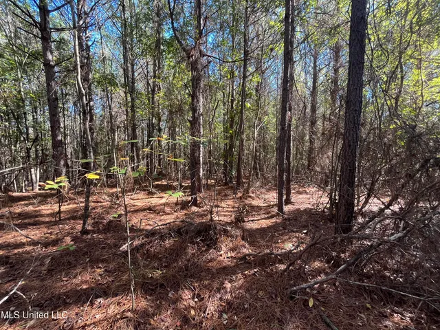 $456,000 | 0 Carver Point Road, Coffeeville, MS 38922