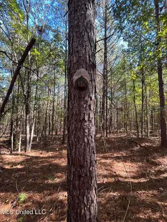 $399,000 | 0 Carver Point Road, Coffeeville, MS 38922