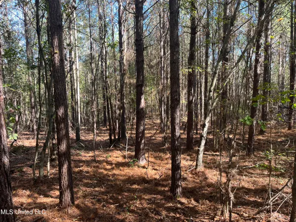 $399,000 | 0 Carver Point Road, Coffeeville, MS 38922