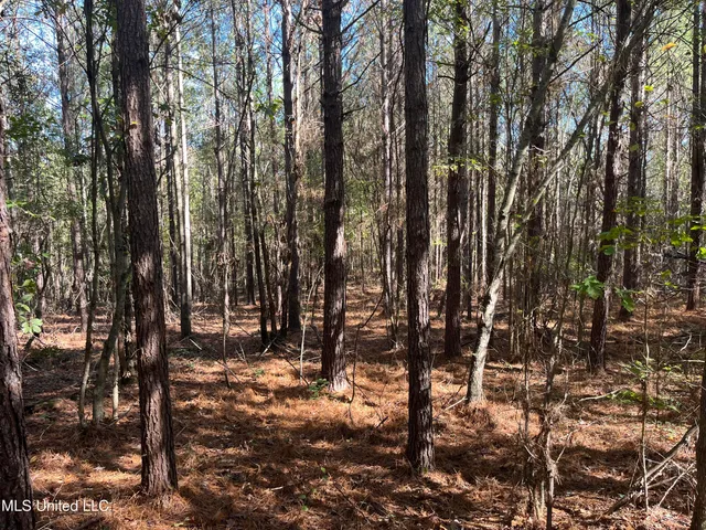 $456,000 | 0 Carver Point Road, Coffeeville, MS 38922