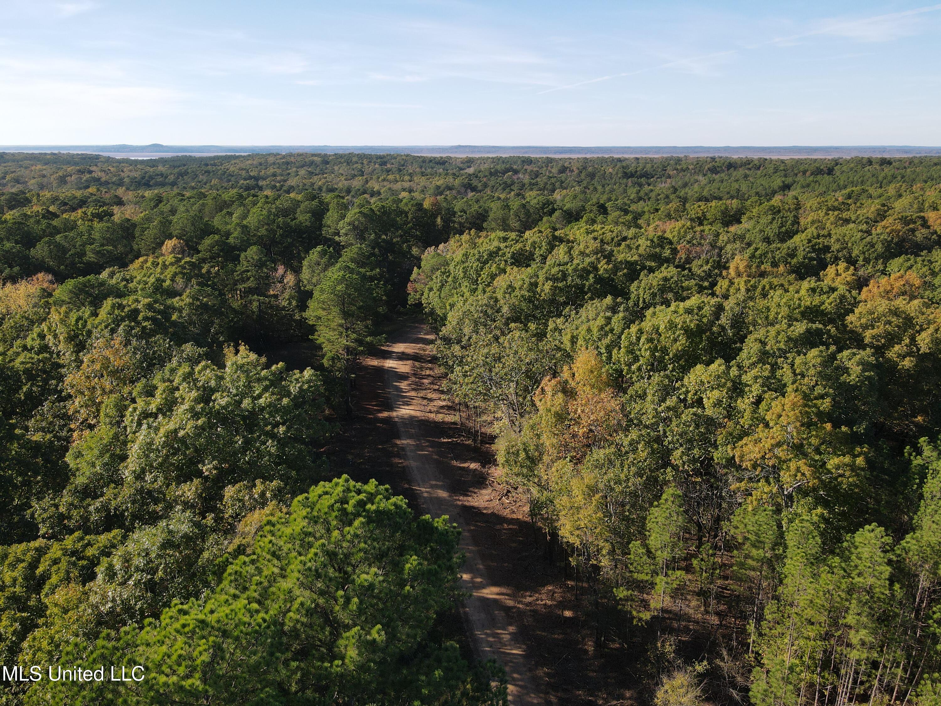 0 Carver Point Road Coffeeville, MS 38922 - Photo 3 of 44 dji_fly_20241116_141248_881_173178799213