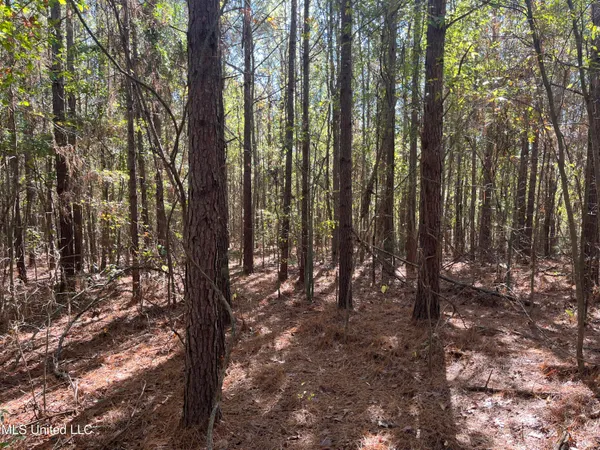 $399,000 | 0 Carver Point Road, Coffeeville, MS 38922