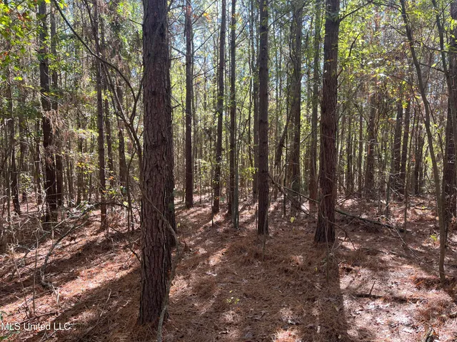 $456,000 | 0 Carver Point Road, Coffeeville, MS 38922