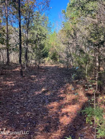 $399,000 | 0 Carver Point Road, Coffeeville, MS 38922