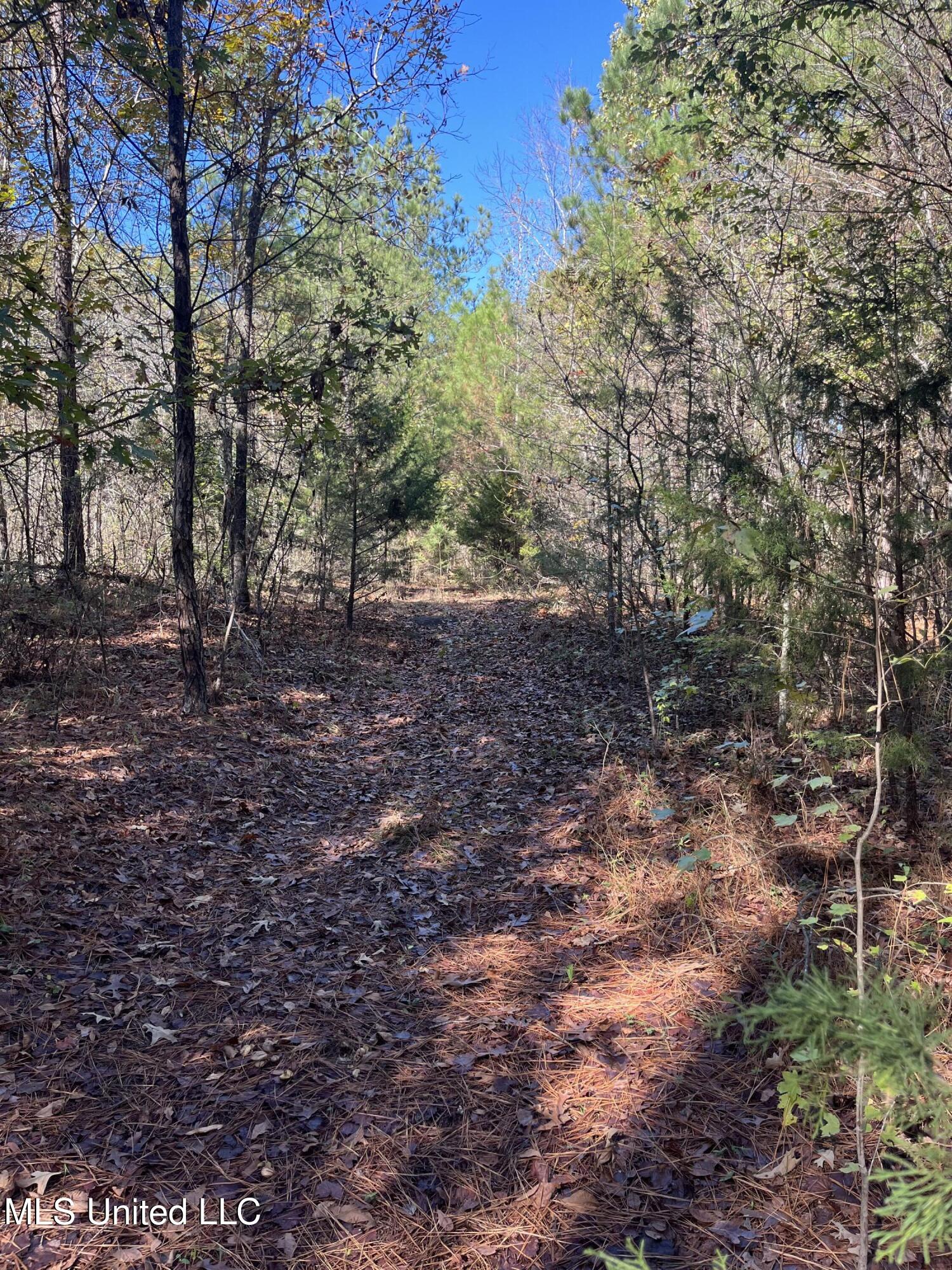 0 Carver Point Road Coffeeville, MS 38922 - Photo 32 of 44 IMG_9506