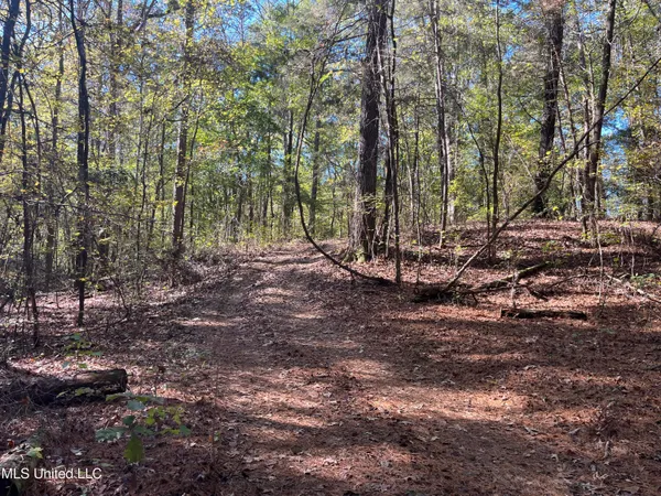 $399,000 | 0 Carver Point Road, Coffeeville, MS 38922
