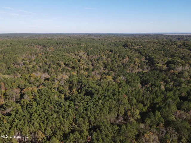 $456,000 | 0 Carver Point Road, Coffeeville, MS 38922