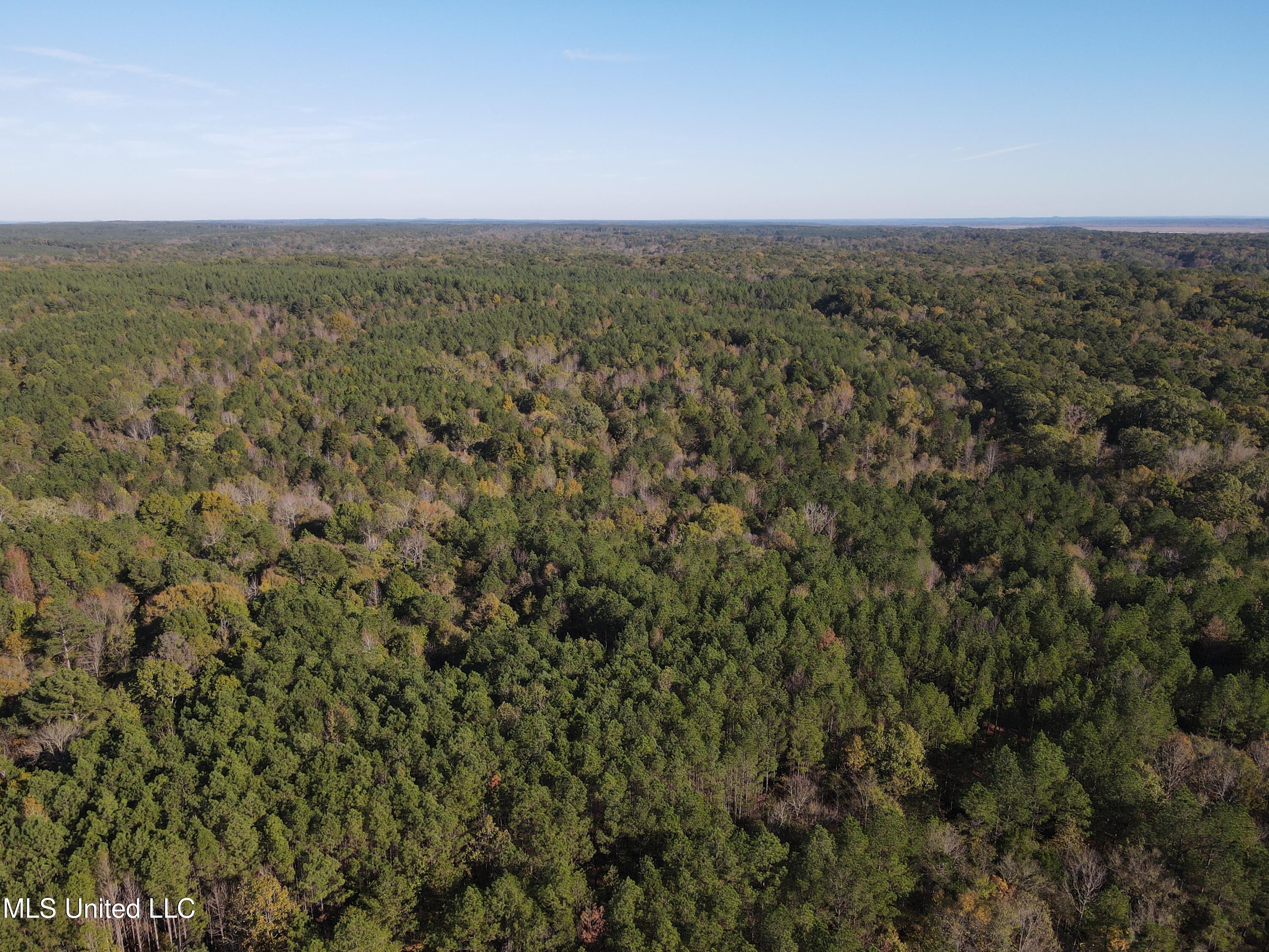 0 Carver Point Road Coffeeville, MS 38922 - Photo 4 of 44 dji_fly_20241116_141158_880_173178799733