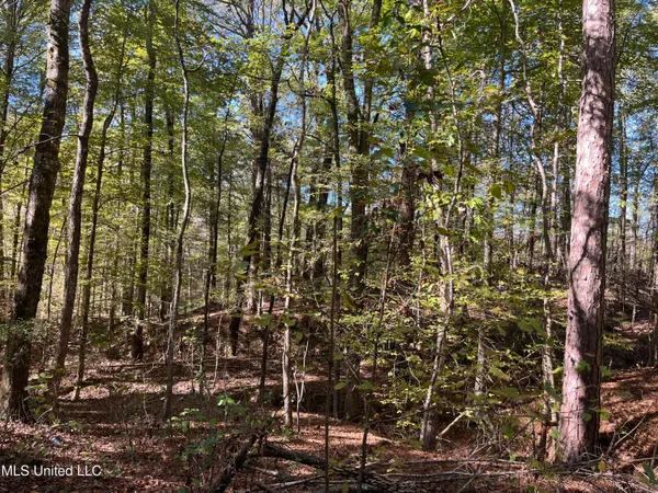 $399,000 | 0 Carver Point Road, Coffeeville, MS 38922