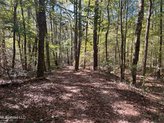 $456,000 | 0 Carver Point Road, Coffeeville, MS 38922