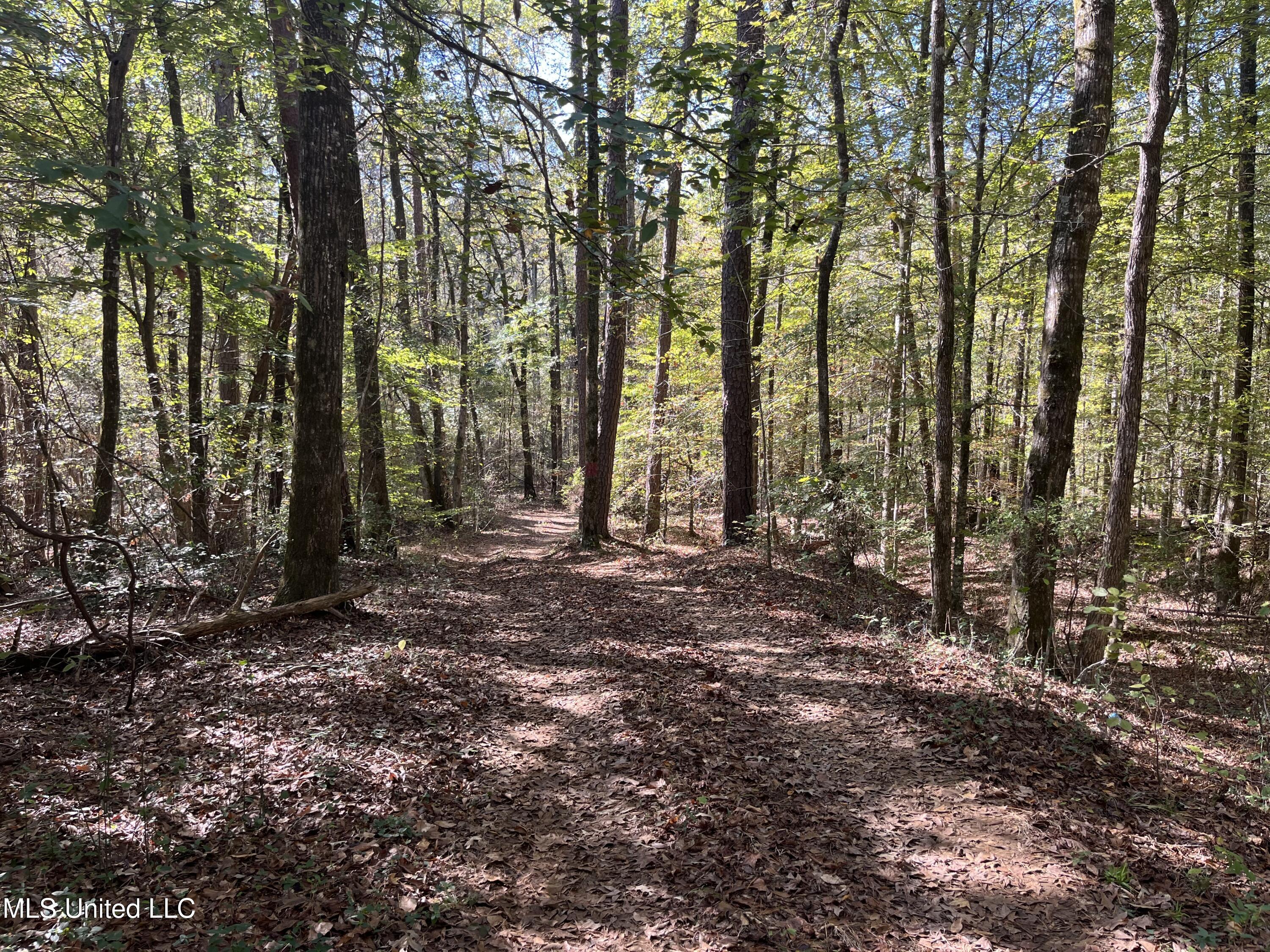 0 Carver Point Road Coffeeville, MS 38922 - Photo 42 of 44 IMG_9516