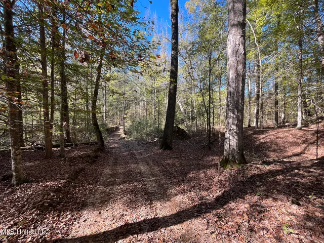 $456,000 | 0 Carver Point Road, Coffeeville, MS 38922