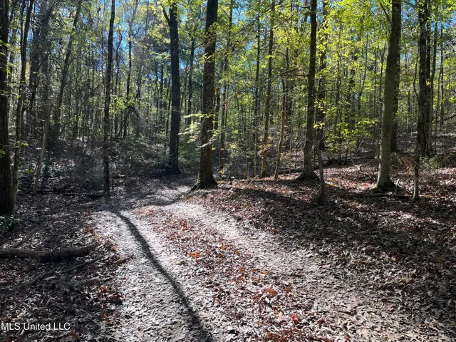 $456,000 | 0 Carver Point Road, Coffeeville, MS 38922