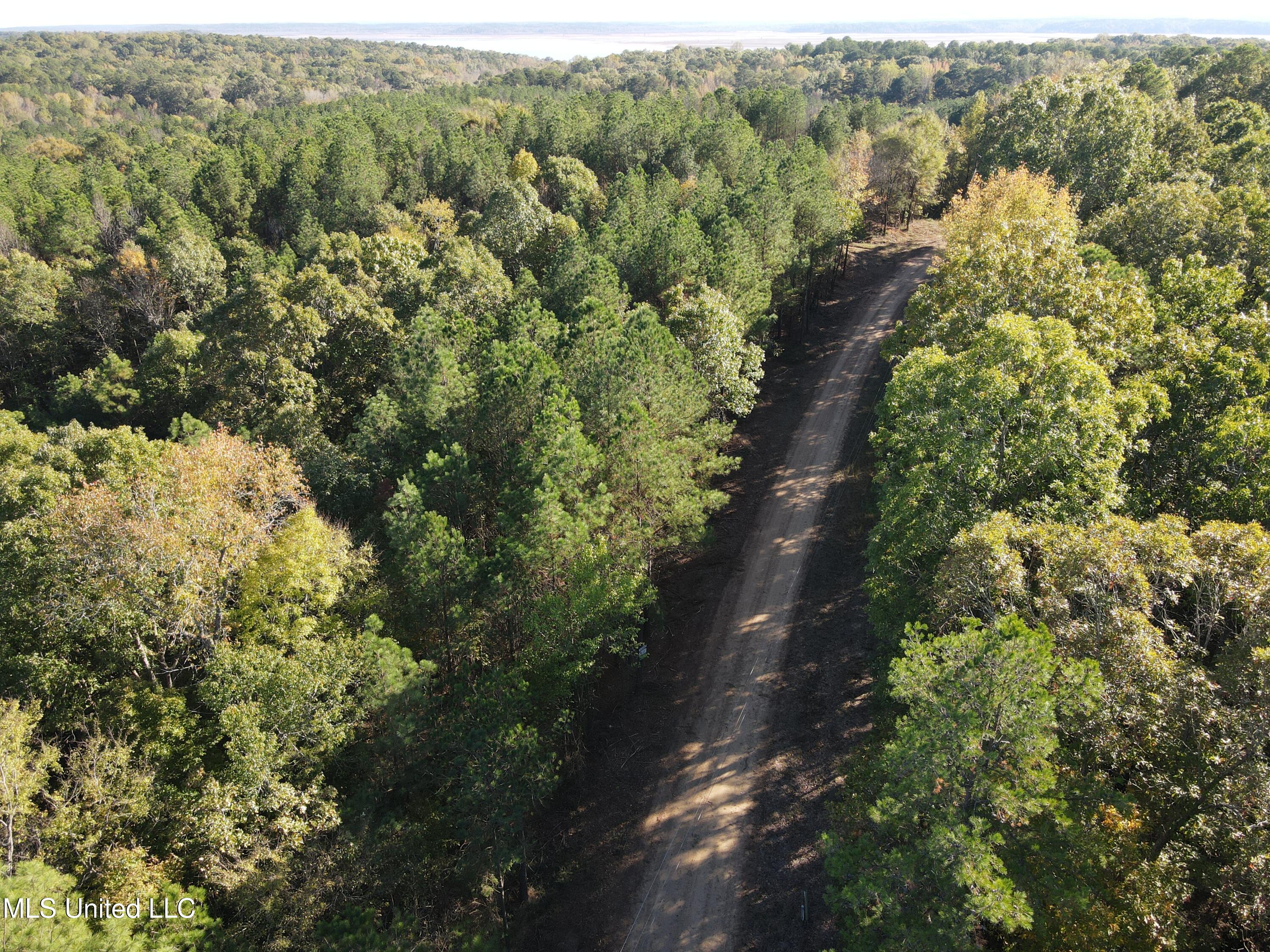0 Carver Point Road Coffeeville, MS 38922 - Photo 5 of 44 dji_fly_20241116_141024_867_173178793789