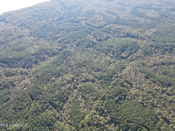 $399,000 | 0 Carver Point Road, Coffeeville, MS 38922