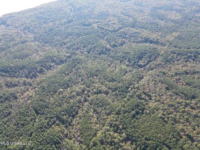 $456,000 | 0 Carver Point Road, Coffeeville, MS 38922