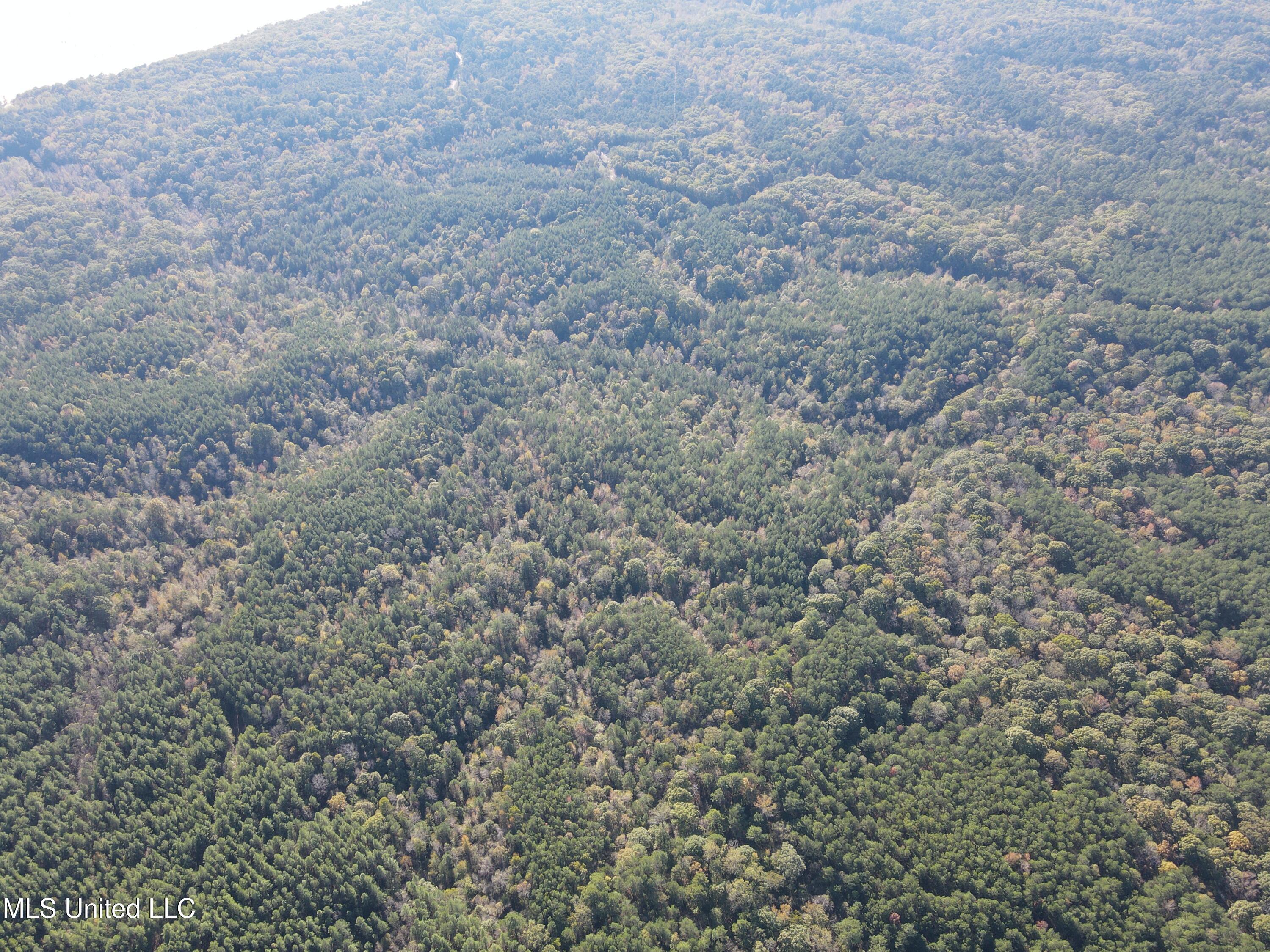 0 Carver Point Road Coffeeville, MS 38922 - Photo 9 of 44 dji_fly_20241116_140626_862_173178786674