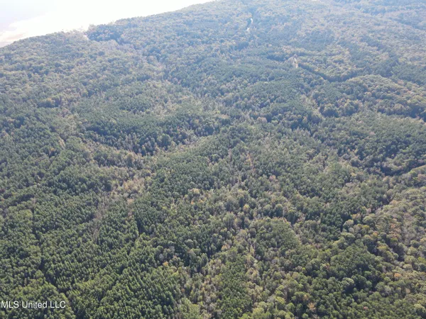 $399,000 | 0 Carver Point Road, Coffeeville, MS 38922