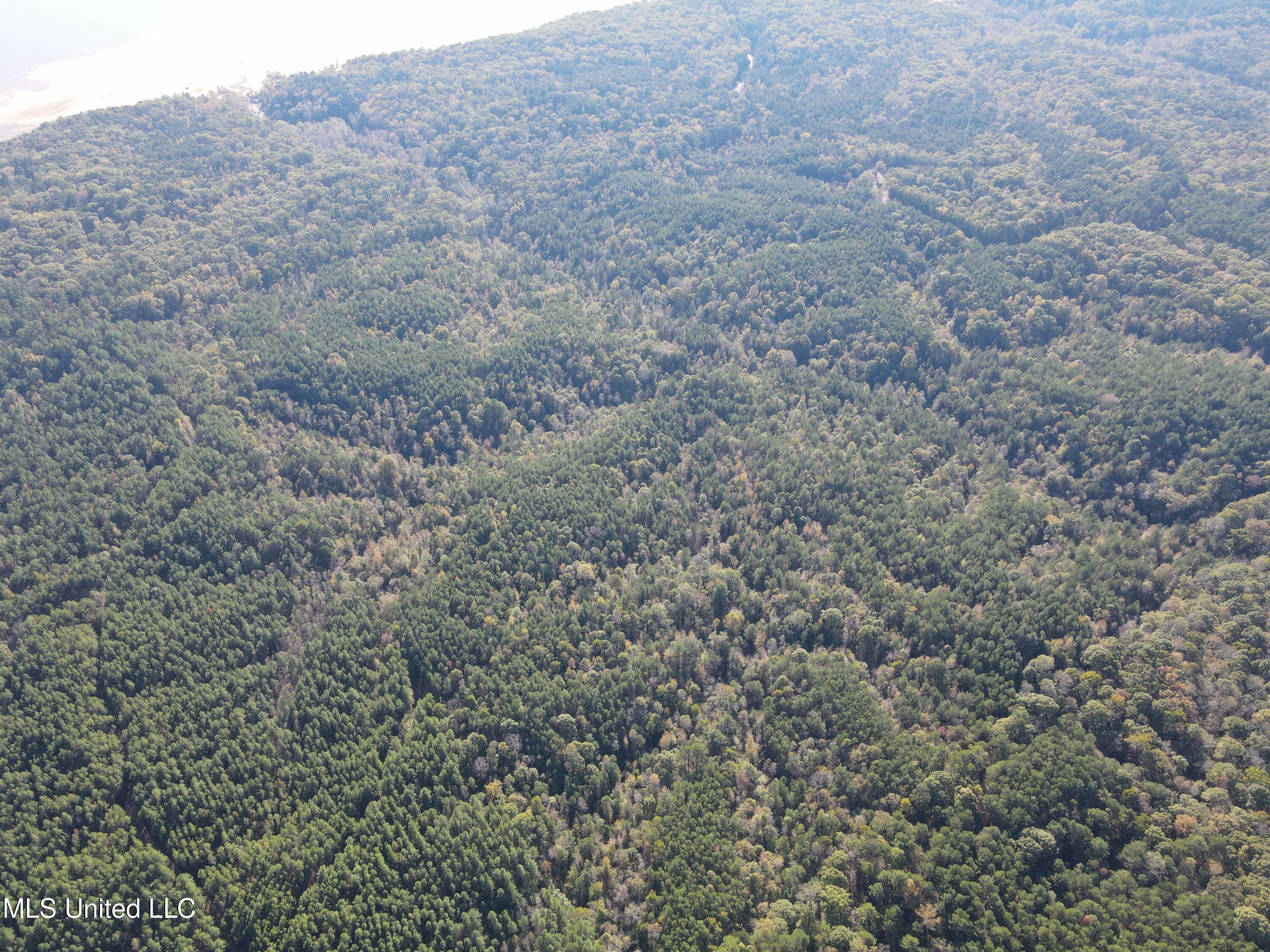 0 Carver Point Road Coffeeville, MS 38922 - Photo 10 of 44 dji_fly_20241116_140624_861_173178787229