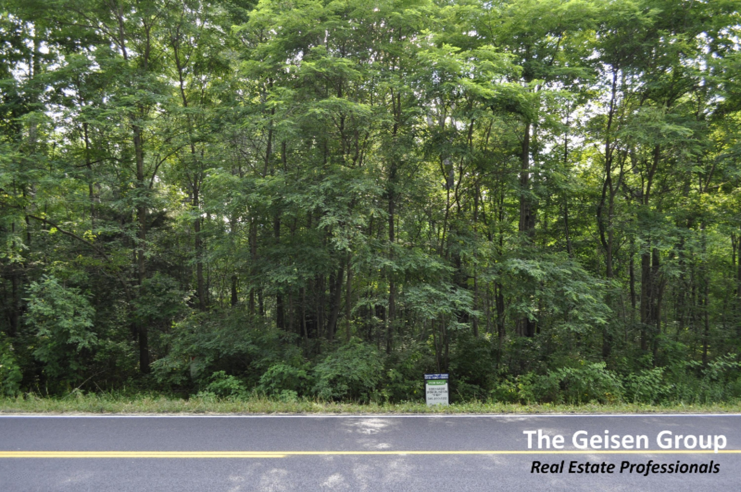 5 Johnson Road Greenville, MI 48838 - Photo 1 of 1 Par 5 Johnson Rd