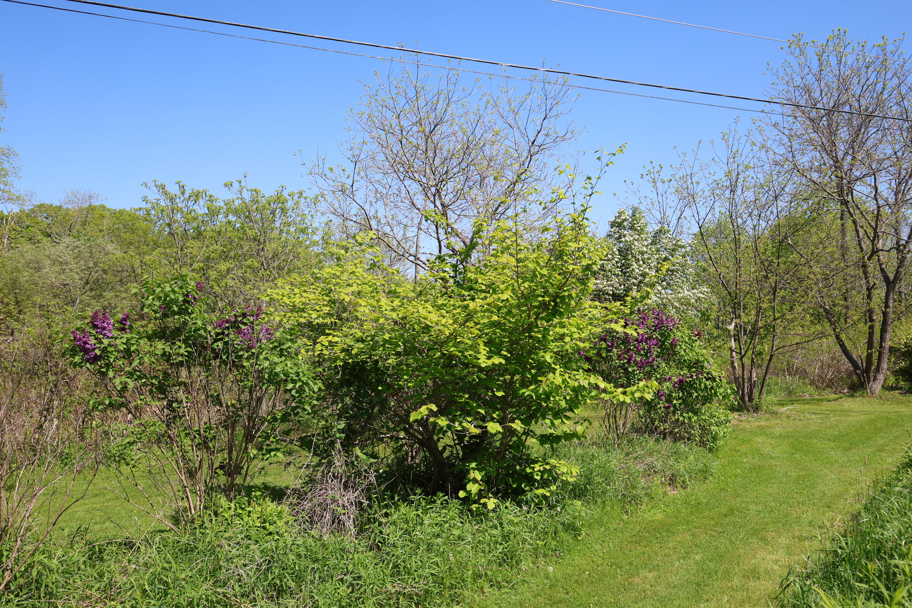 281 Post Road Bowdoinham, ME 04008 - Photo 45 of 104 IMG_3004 1