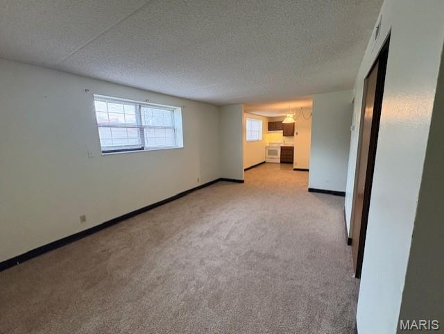 1450 Morgan Street Belleville, IL 62226 - Photo 6 of 16