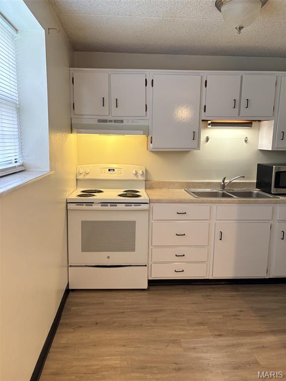 1450 Morgan Street, Unit 1 Belleville, IL 62226 - Photo 9 of 18