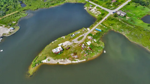 a view of a plant in a garden