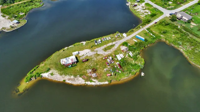 a close up of a plant in a pot